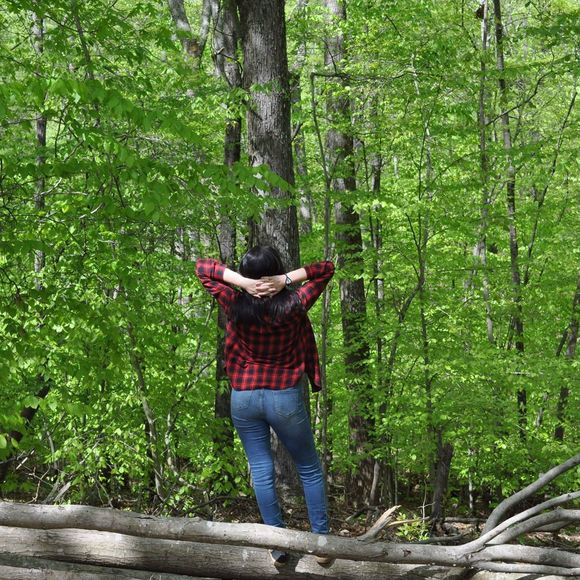 Meet your Posher, Abby - Picture 1 of 1